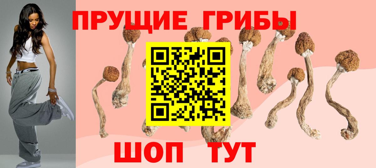 Каменск-Шахтинский  Галлюциногенные грибы Cubensis  Вход с VPN 